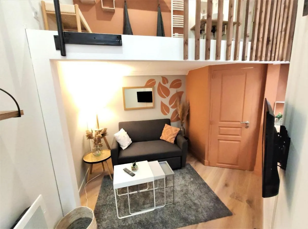 Appartement LE LANTERNIER - Hypercentre Les Quais - Netflix à Toulouse France