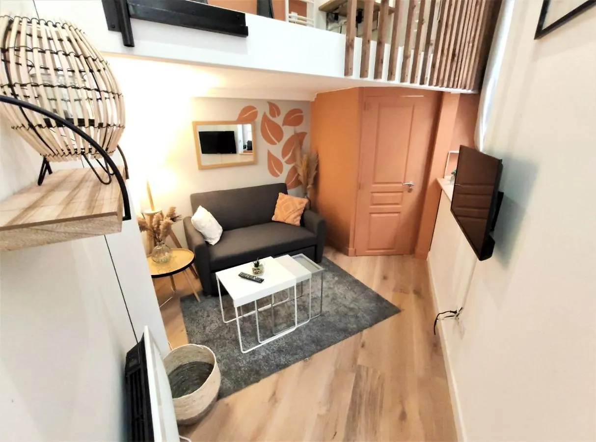 Appartement LE LANTERNIER - Hypercentre Les Quais - Netflix à Toulouse