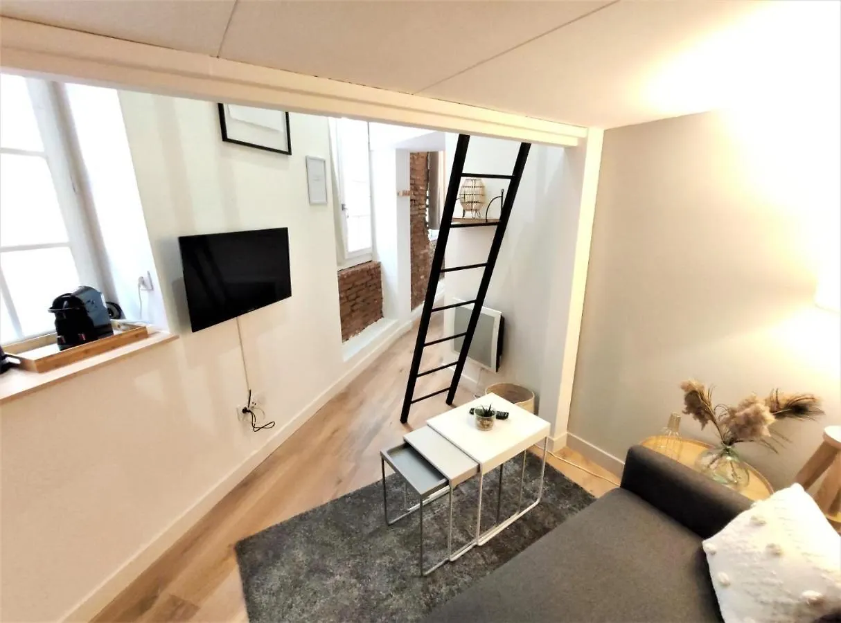 Appartement LE LANTERNIER - Hypercentre Les Quais - Netflix à Toulouse 0*,